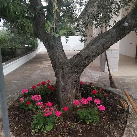 Immersa Nel Holiday home