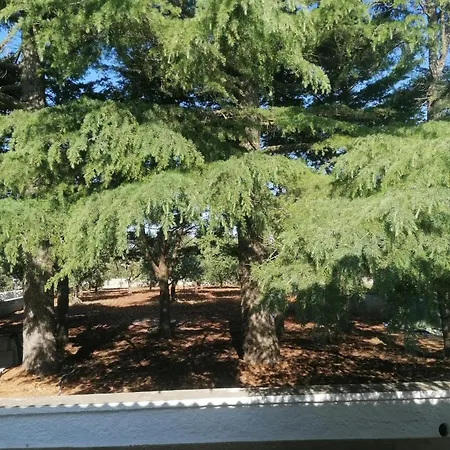 Immersa Nel Holiday home