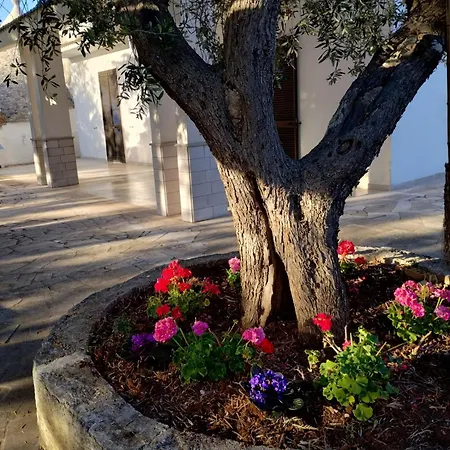 Immersa Nel Holiday home *